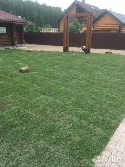 Укладка и продажа газона