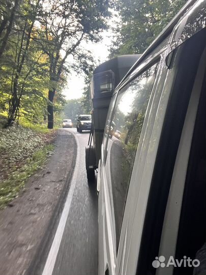 Перевозка лошадей