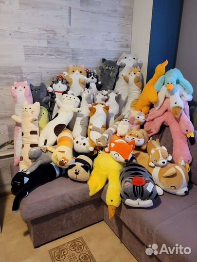 Кот Батон, кот Багет, хаски, авокадо, корги, гусь