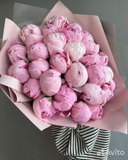 Пионы букет