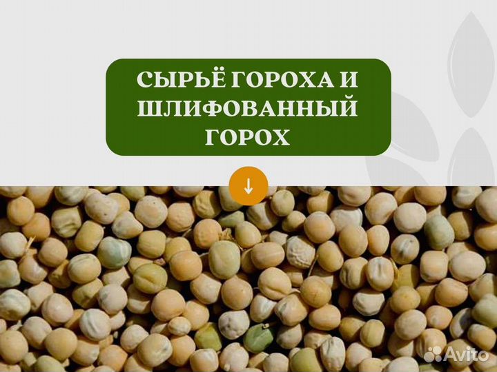 Горох с поля (сырье) (кг)