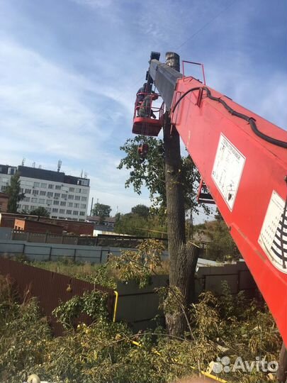 Манипулятор 10 тонн, стрела 7 т. Автовышка 22 метр