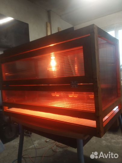 Брудер для цыплят