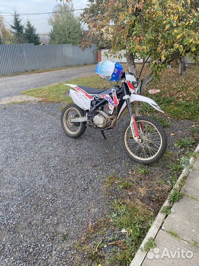 BSE Z5