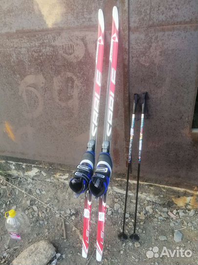 Беговые лыжи