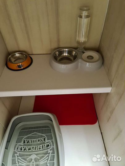 Передержка для животных с карантином и мед.уходом