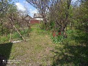 Дом 56 м² на участке 45 сот.