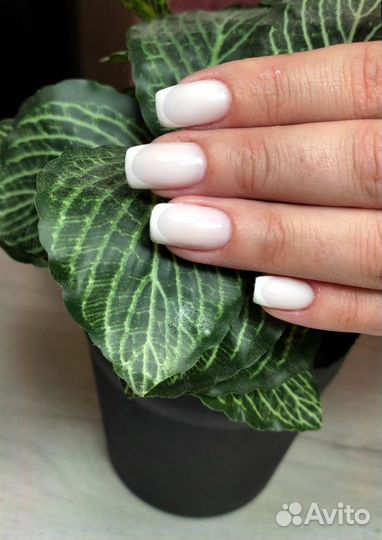 Маникюр и педикюр