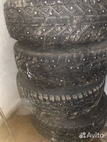 Tigar Ice 195/65 R15