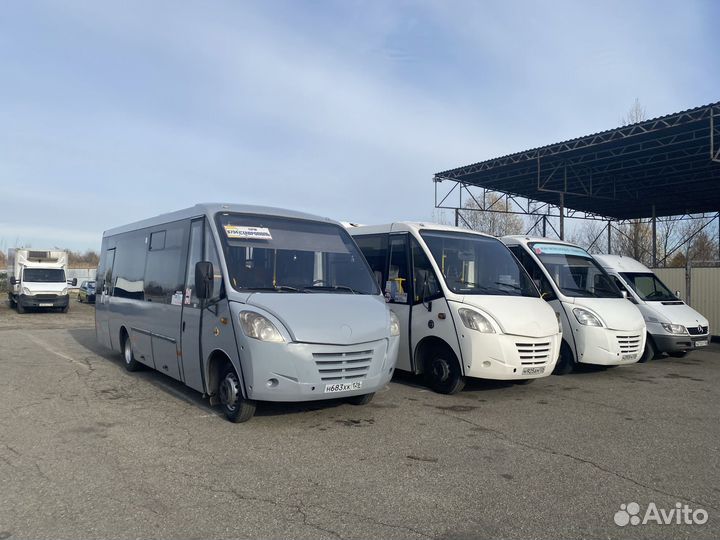 Водитель на автобус категория Д