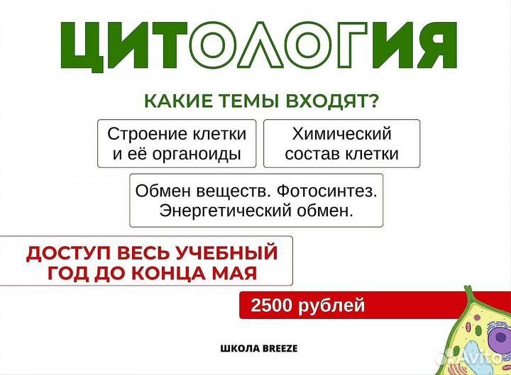 Учебник Алёны Бриз по биологии