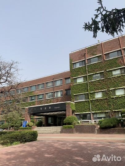 Репетитор по корейскому языку