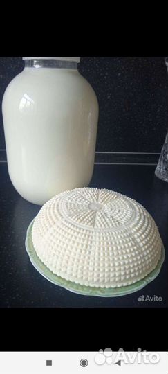 Козье молоко домашнее и сыр