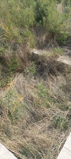 Дача 24 м² на участке 12 сот.