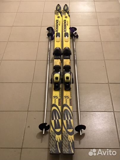 Горные лыжи