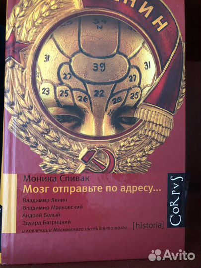 Моника Спивак. Мозг отправьте по адресу