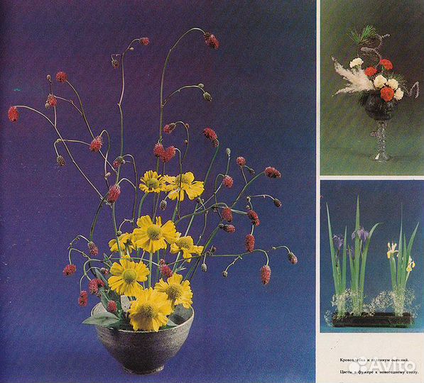 Икэбана. Композиции из цветов. Николаенко Н.П