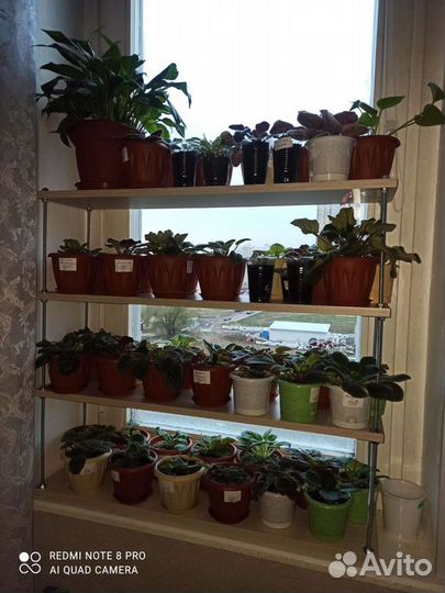 На заказ Полка для цветов и рассады