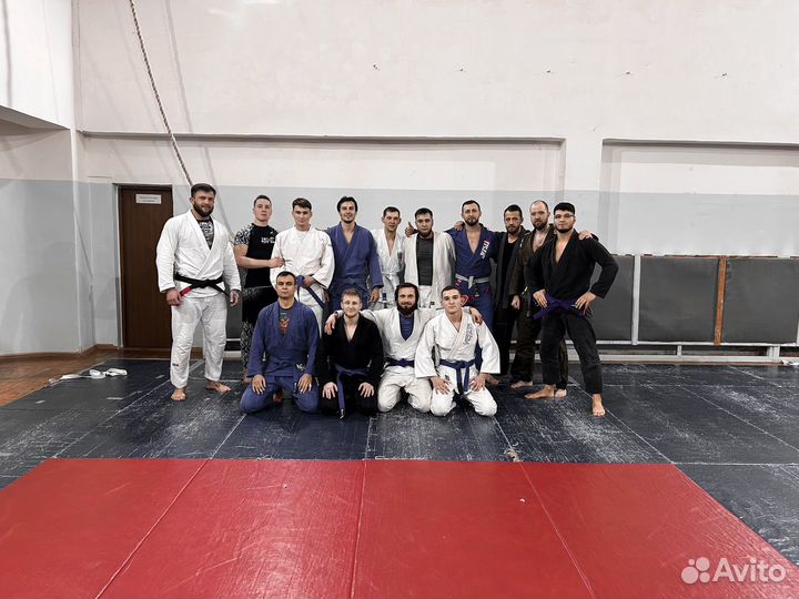 Грэпплинг бжж мма