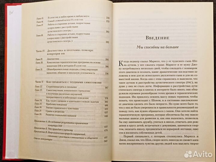 На ты с аутизмом. Гринспен. 2013