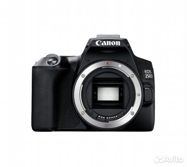 Зеркальный фотоаппарат Canon EOS 250D Kit 18-55 IS
