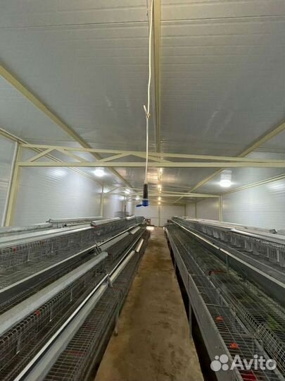 Оборудование для кролиководства, клетки