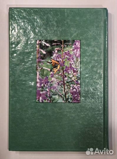 Ерофеева Елена. Мы родом из детства. Сказки 19 век