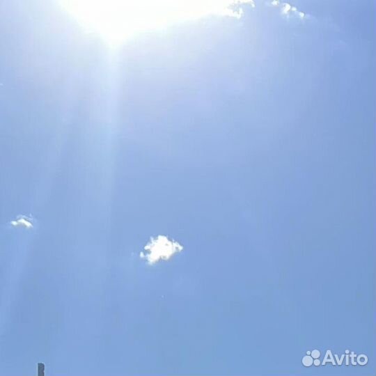 Труба стальная 250х3,8 мм