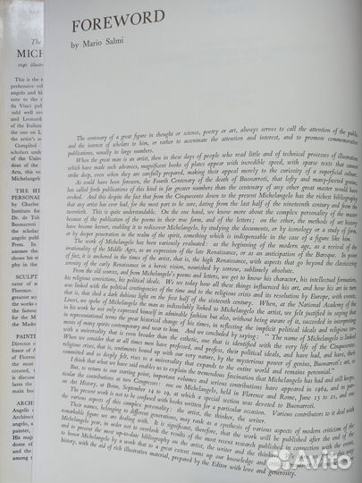 Книга Микеланджело