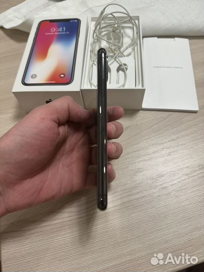 iPhone X, 256 ГБ