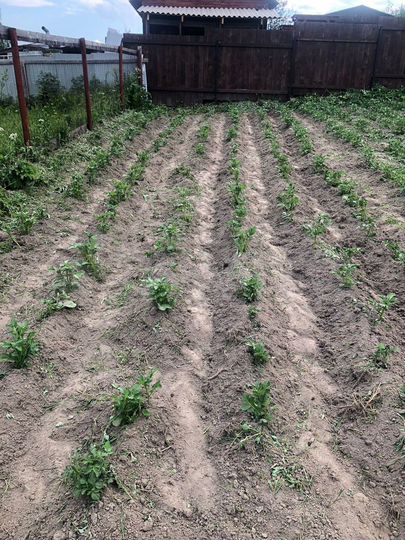 Участок 7 сот. (СНТ, ДНП)