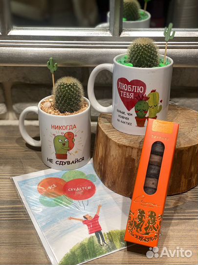 Именные кружки с кактусами