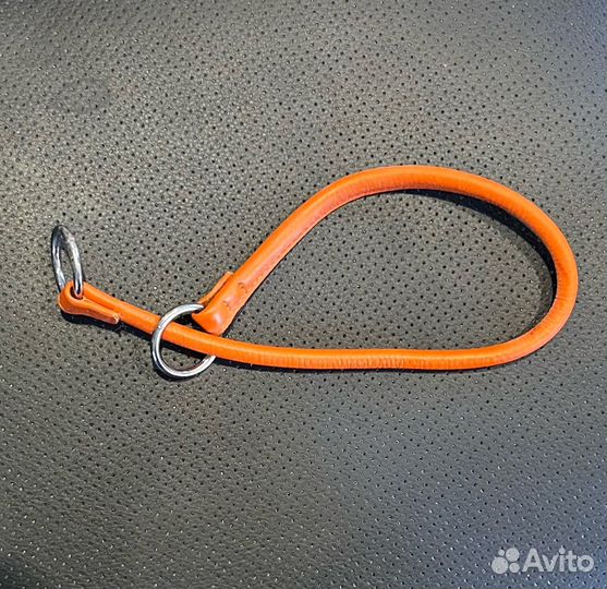 Одежда и амуниция для собак