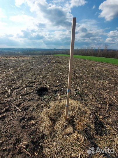 Колья садовые