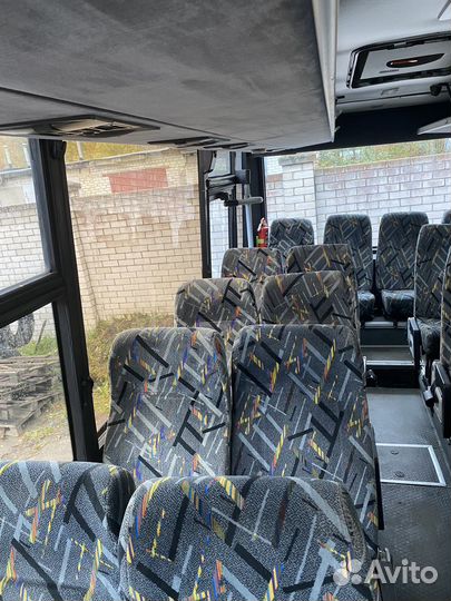 Междугородний / Пригородный автобус МАЗ 256, 2010