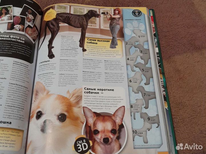 Книга рекордов Гиннесса