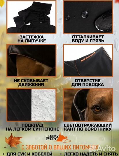 Попона для собак новая