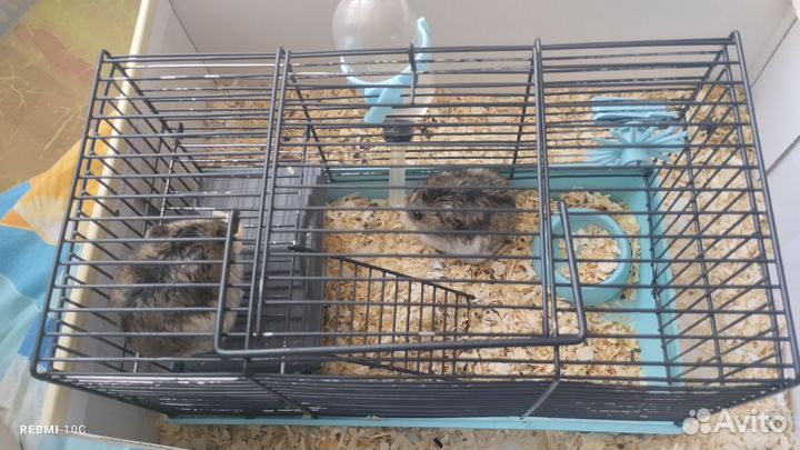 Клетка для грызунов маленькая
