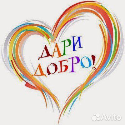 Опытные грузчики автотранспорт