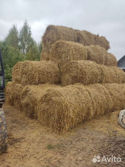 Солома в рулонах с доставкой