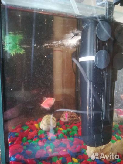 Аквариум