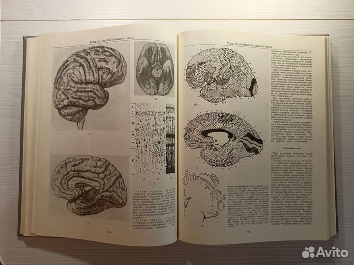 Энциклопедия детского невролога