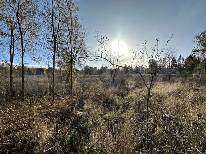 Участок 10,5 сот. (СНТ, ДНП)