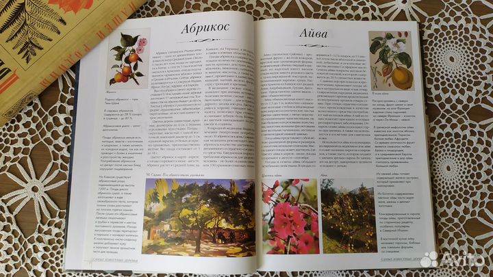 Книги о комнатных садовых цветах фонтанчики букеты