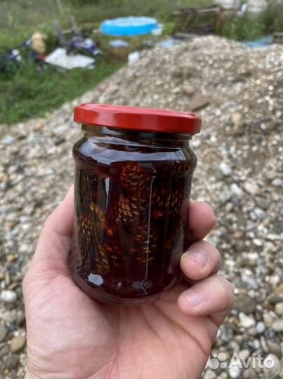 Варенье из сосновых шишек