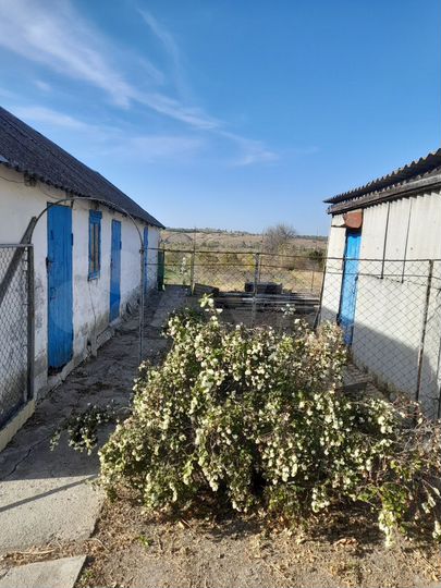 Дом 35 м² на участке 46 сот.