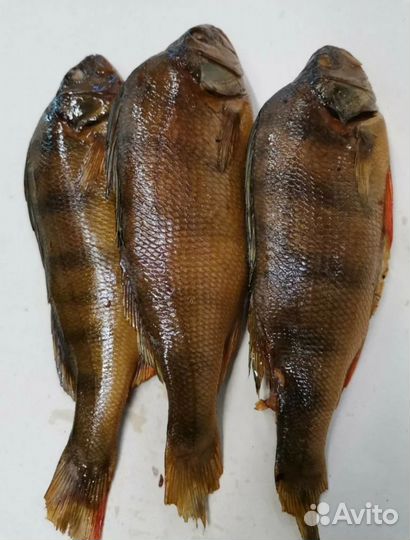 Рыба горячего копчения