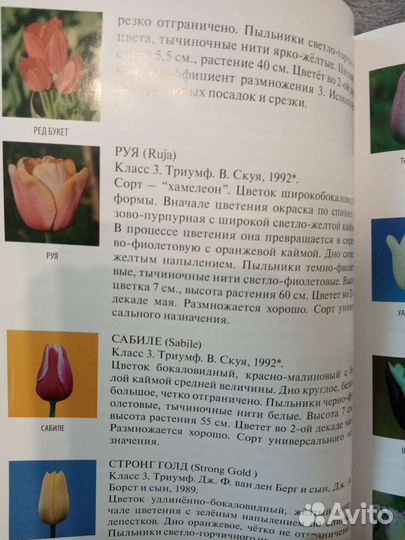 Книга тюльпаны практическое руководство