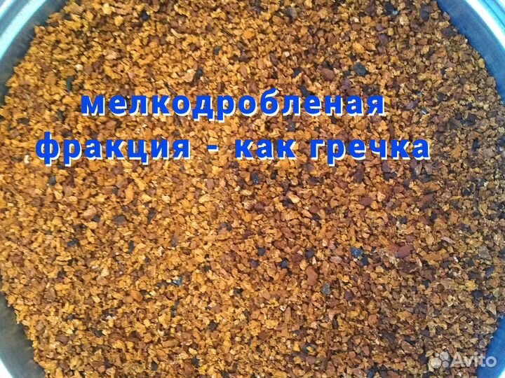 Березовый гриб чага, разные фракции