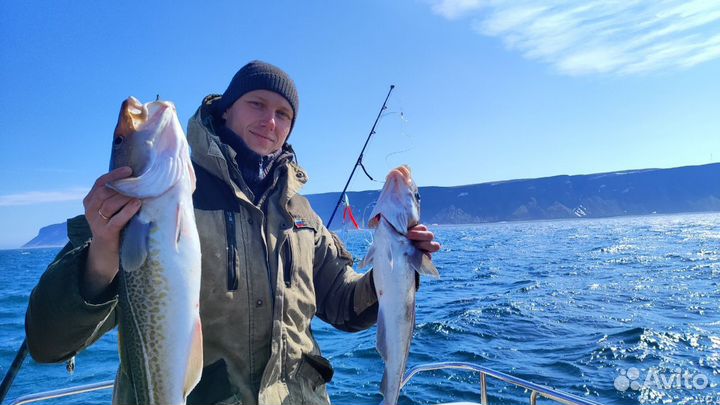 Ловля трески в мере